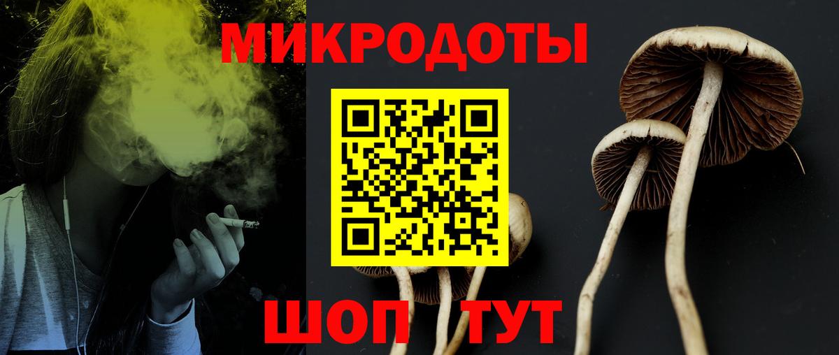 Кушва  Галлюциногенные грибы ЛСД  Вход с VPN 