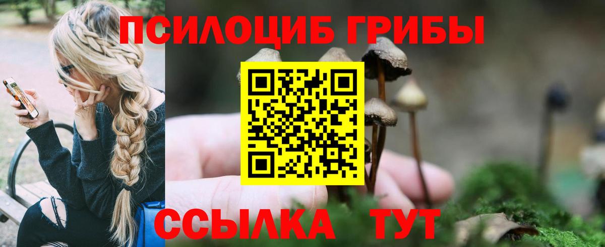 Псилоцибиновые грибы мухоморы Кушва